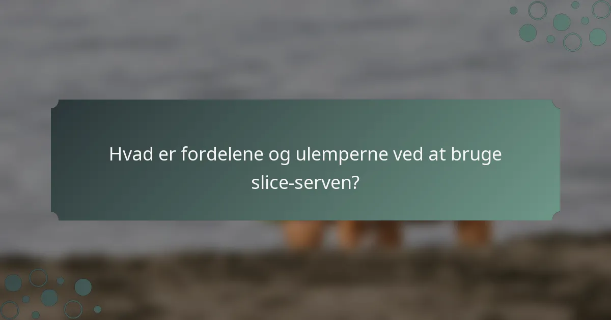 Hvad er fordelene og ulemperne ved at bruge slice-serven?