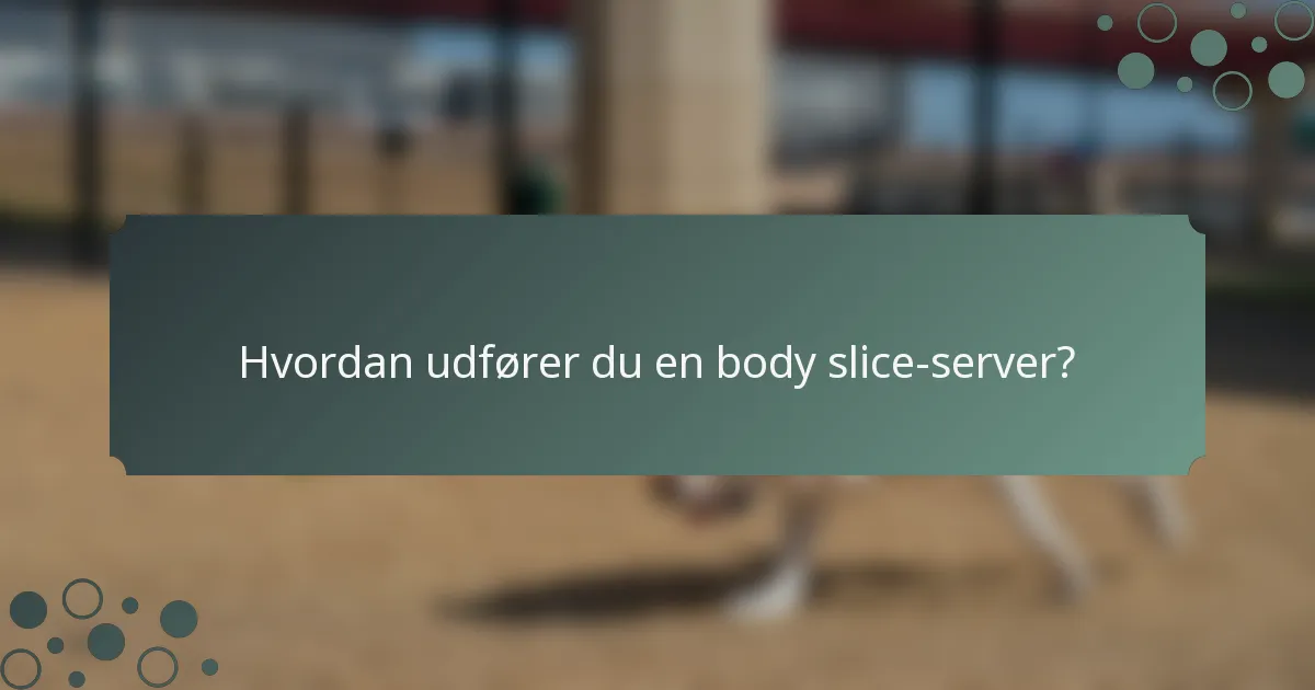 Hvordan udfører du en body slice-server?