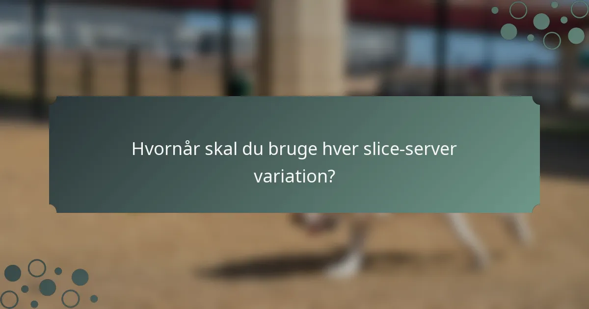 Hvornår skal du bruge hver slice-server variation?